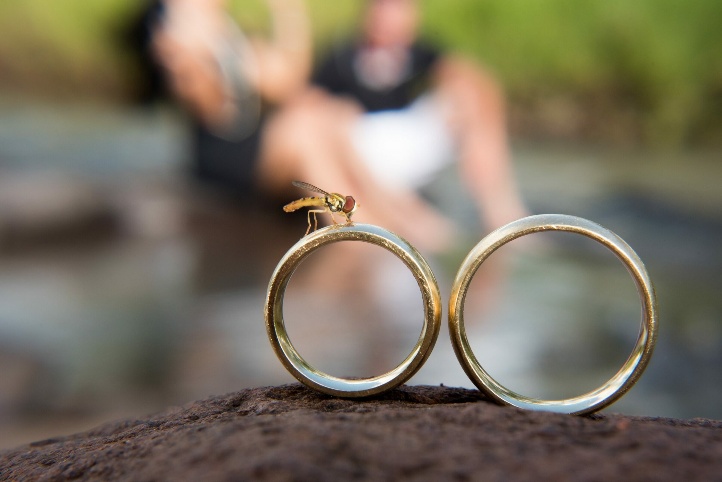 Foto de Stanke Fotografia 12